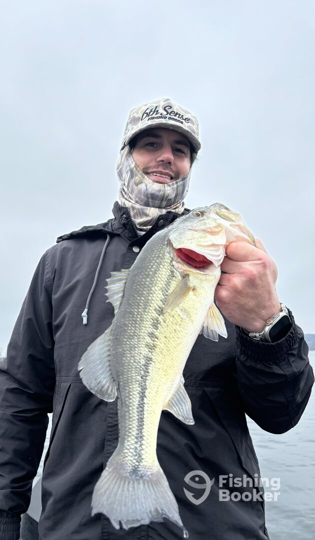 Branson Report Photo 0