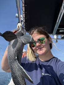 Darien Report Photo 1