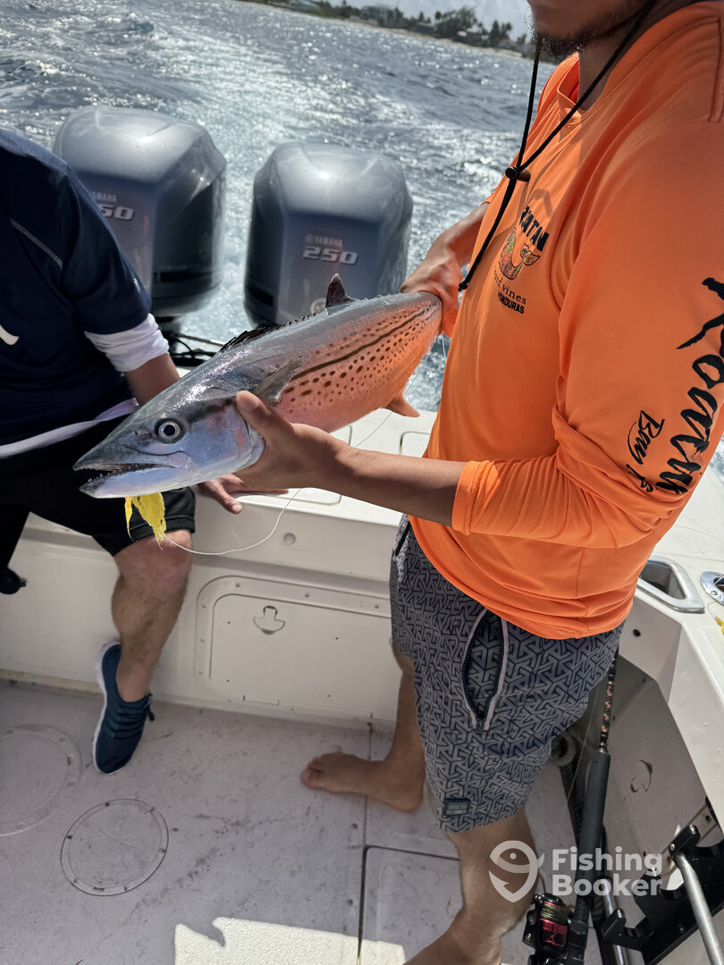 George Town Report Photo 0