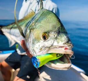 Quepos Report Photo 1