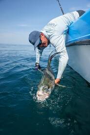 Quepos Report Photo 2