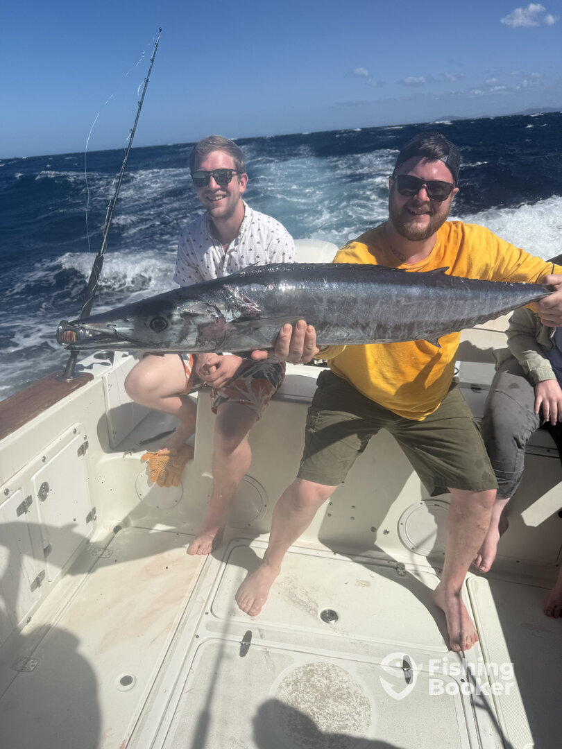 Tamarindo Report Photo 0