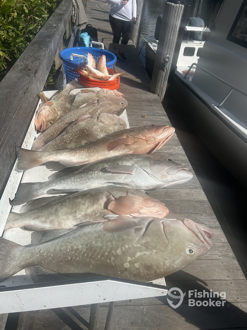 Naples Report Photo 0