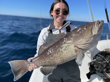 Panama City Report Photo 2