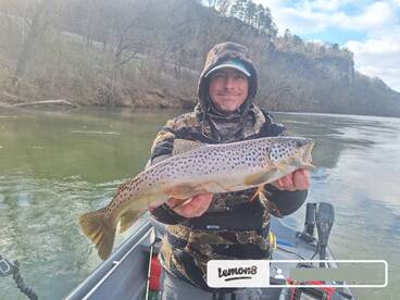 Calico Rock Report Photo 2