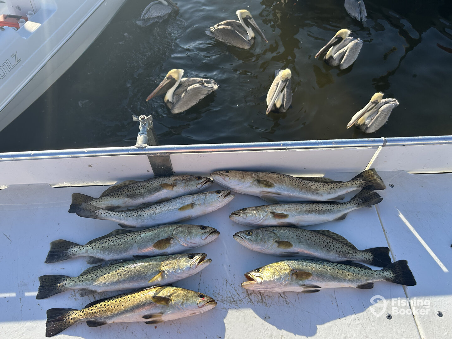 Fort Myers Report Photo 0