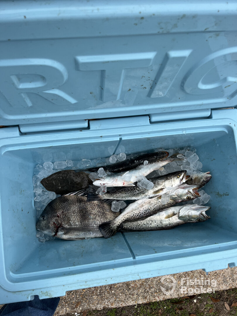 Pass Christian Report Photo 0