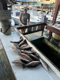 Stock Island Report Photo 2