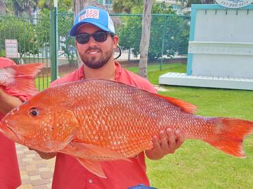Nice Box of Snapper