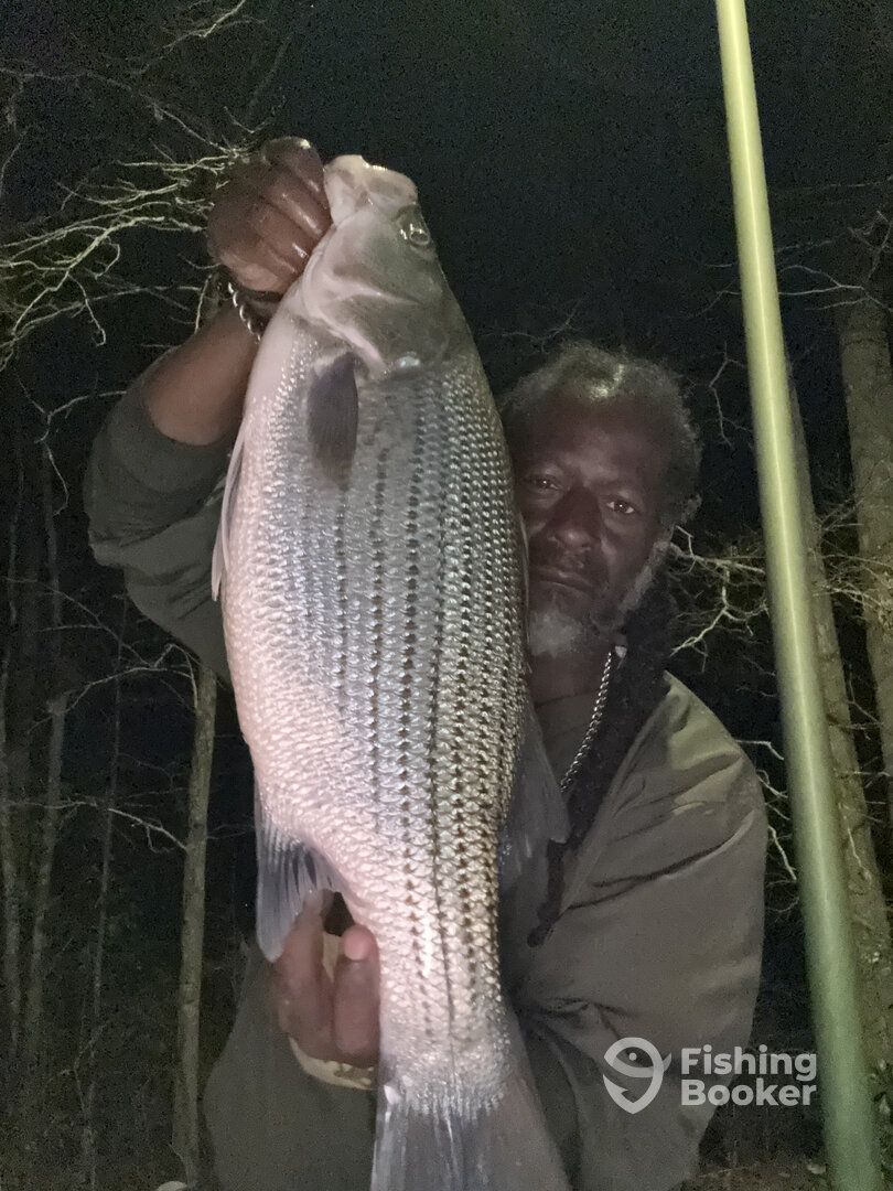 Atlanta Report Photo 0