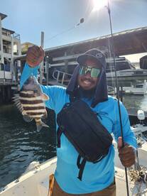 DeBary Report Photo 1