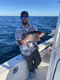 Edgewater Report Photo 1