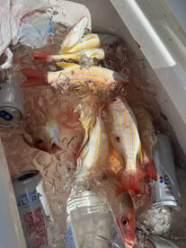 Edgewater Report Photo 2