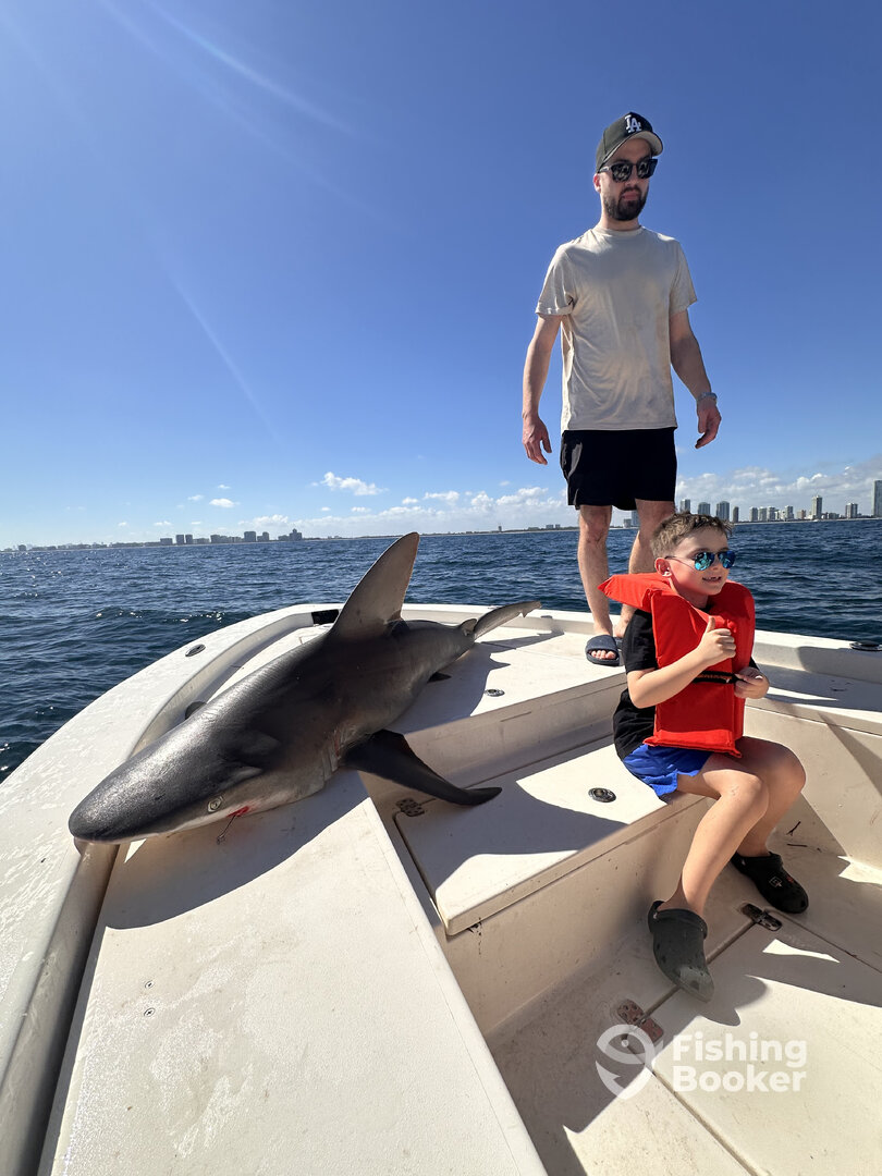 North Miami Report Photo 0