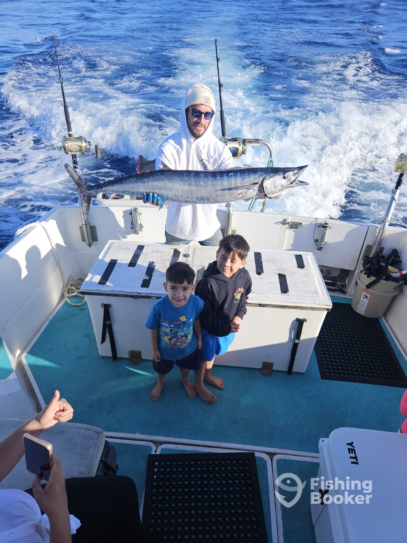 Haleiwa Report Photo 0