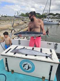 Haleiwa Report Photo 1