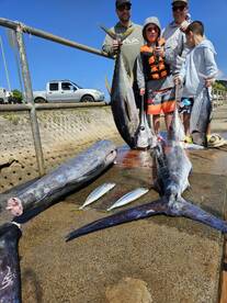 Haleiwa Report Photo 2