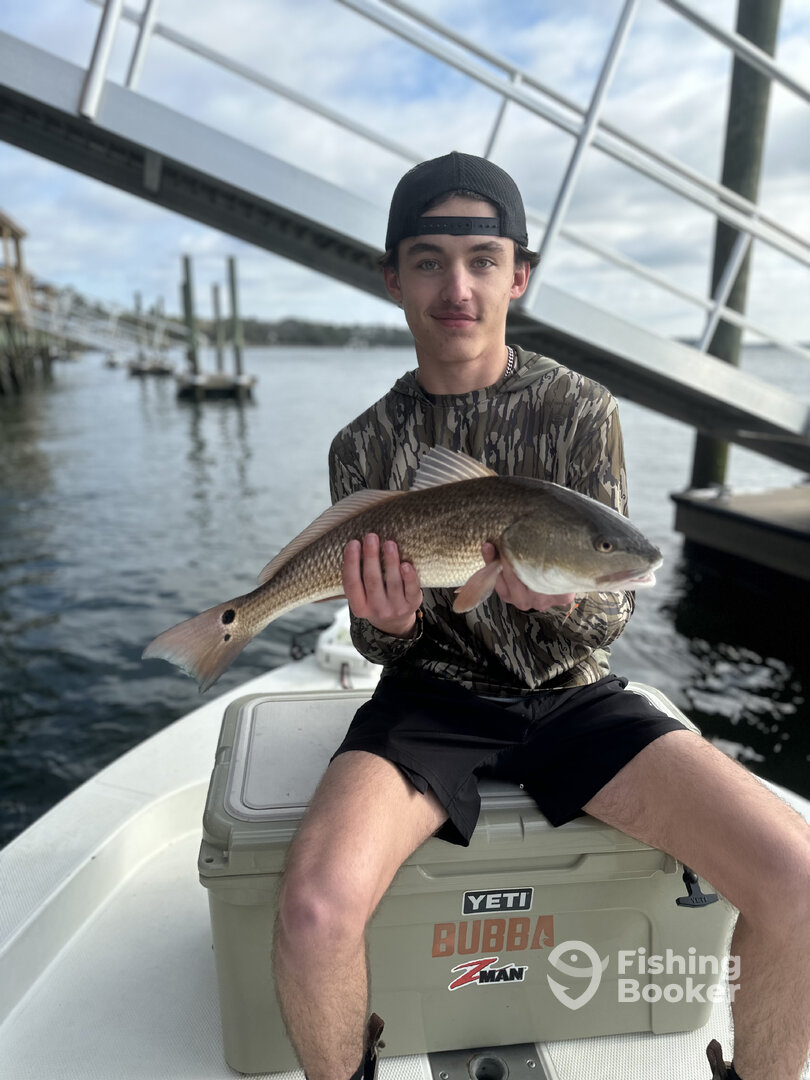 Mount Pleasant Report Photo 0