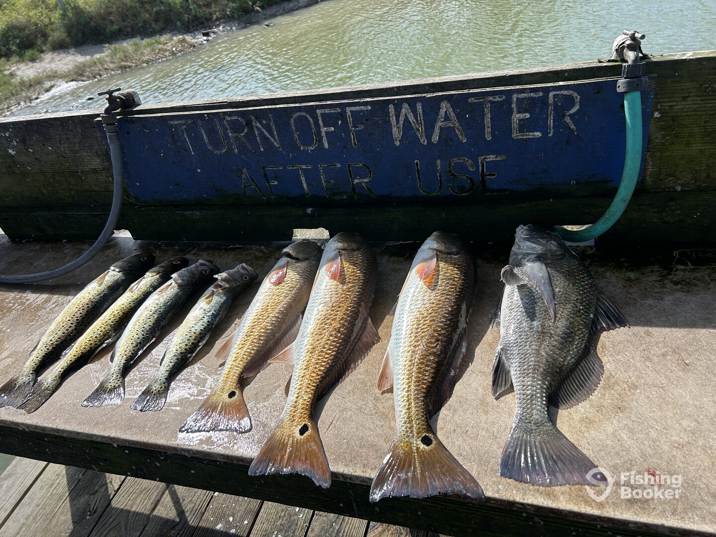 Port Isabel Report Photo 0