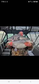 3 BLUE CATFISH OVER 30LBS