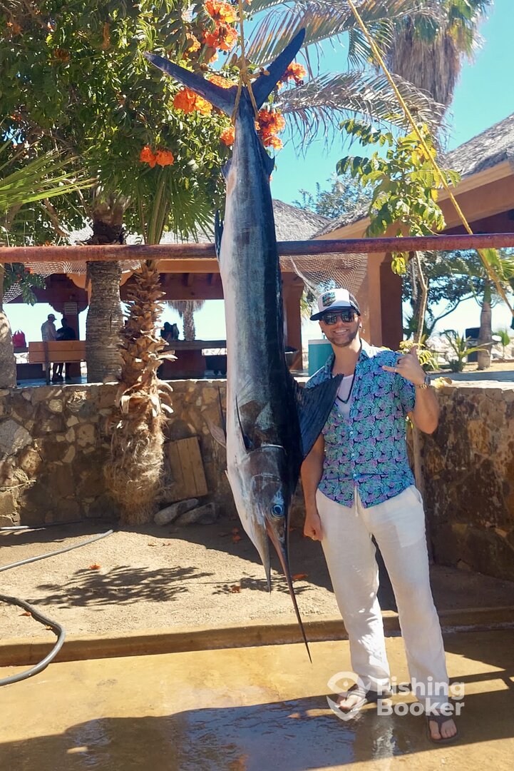 San Jose del Cabo Report Photo 0
