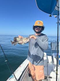 Bradenton Beach Report Photo 2