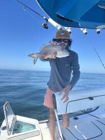 Recent Catches and sights from Reel Bles