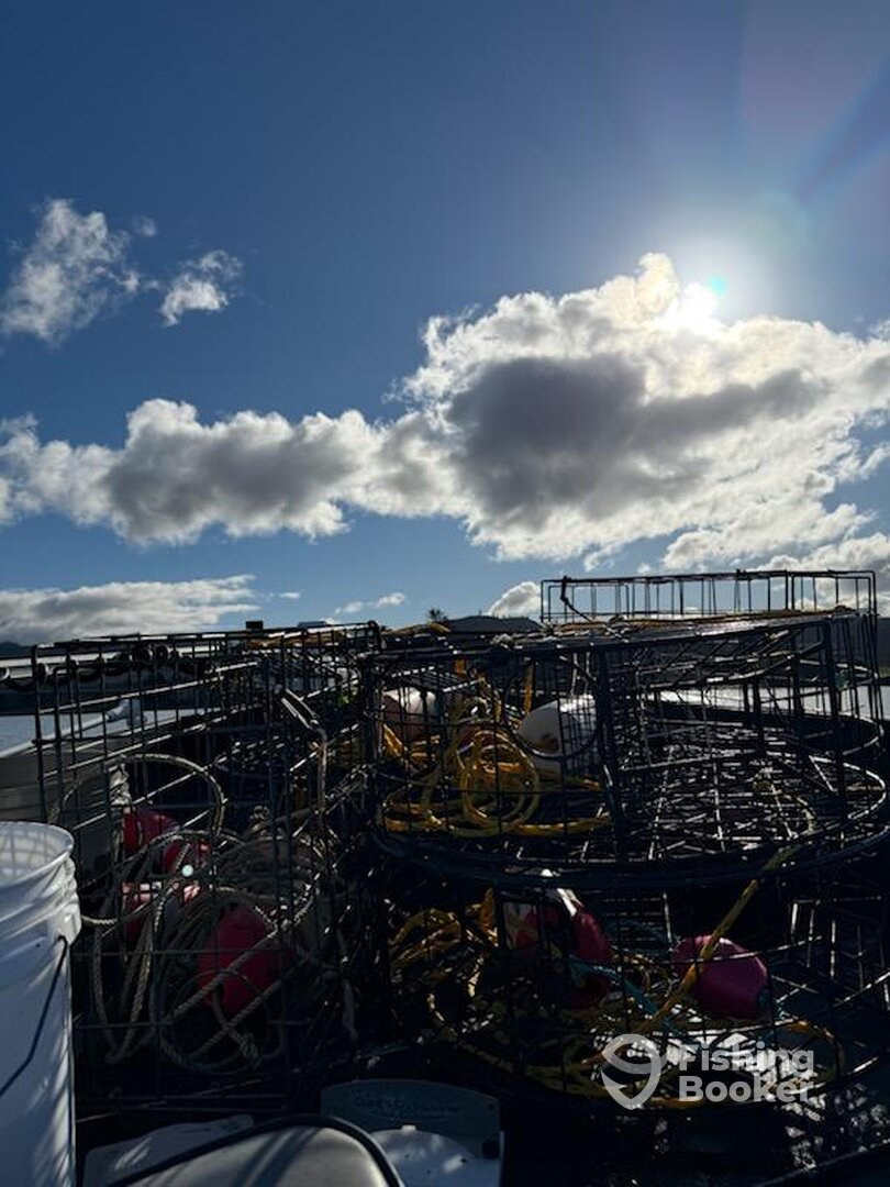 Lincoln City Report Photo 0