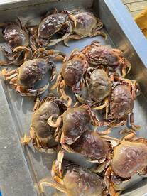 Lincoln City Report Photo 2