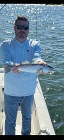 Crystal River Report Photo 1