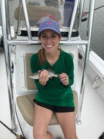 Mount Pleasant Report Photo 1