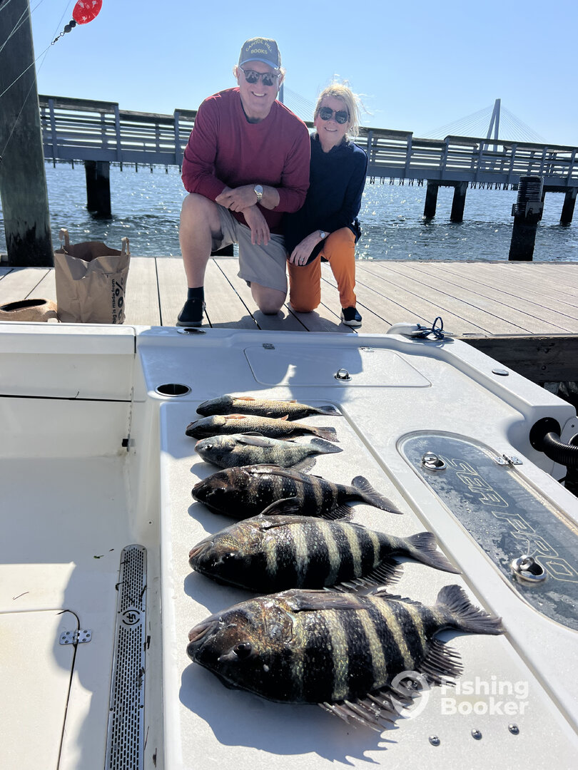 Mount Pleasant Report Photo 0