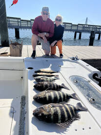 Feburary sheepshead bite!