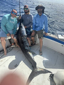 Big Pine Key Report Photo 2