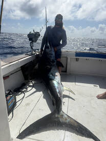 Big Pine Key Report Photo 1