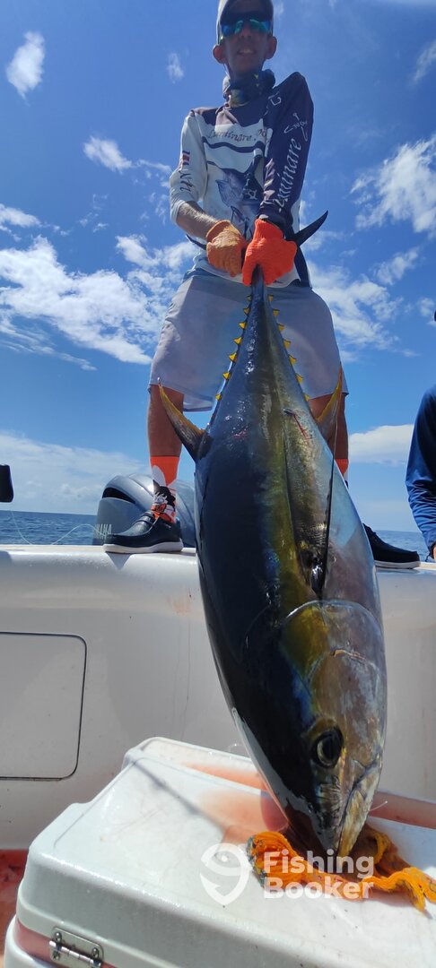 Herradura Report Photo 0