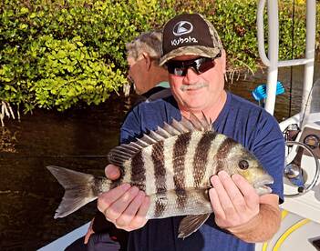 Melbourne Report Photo 2