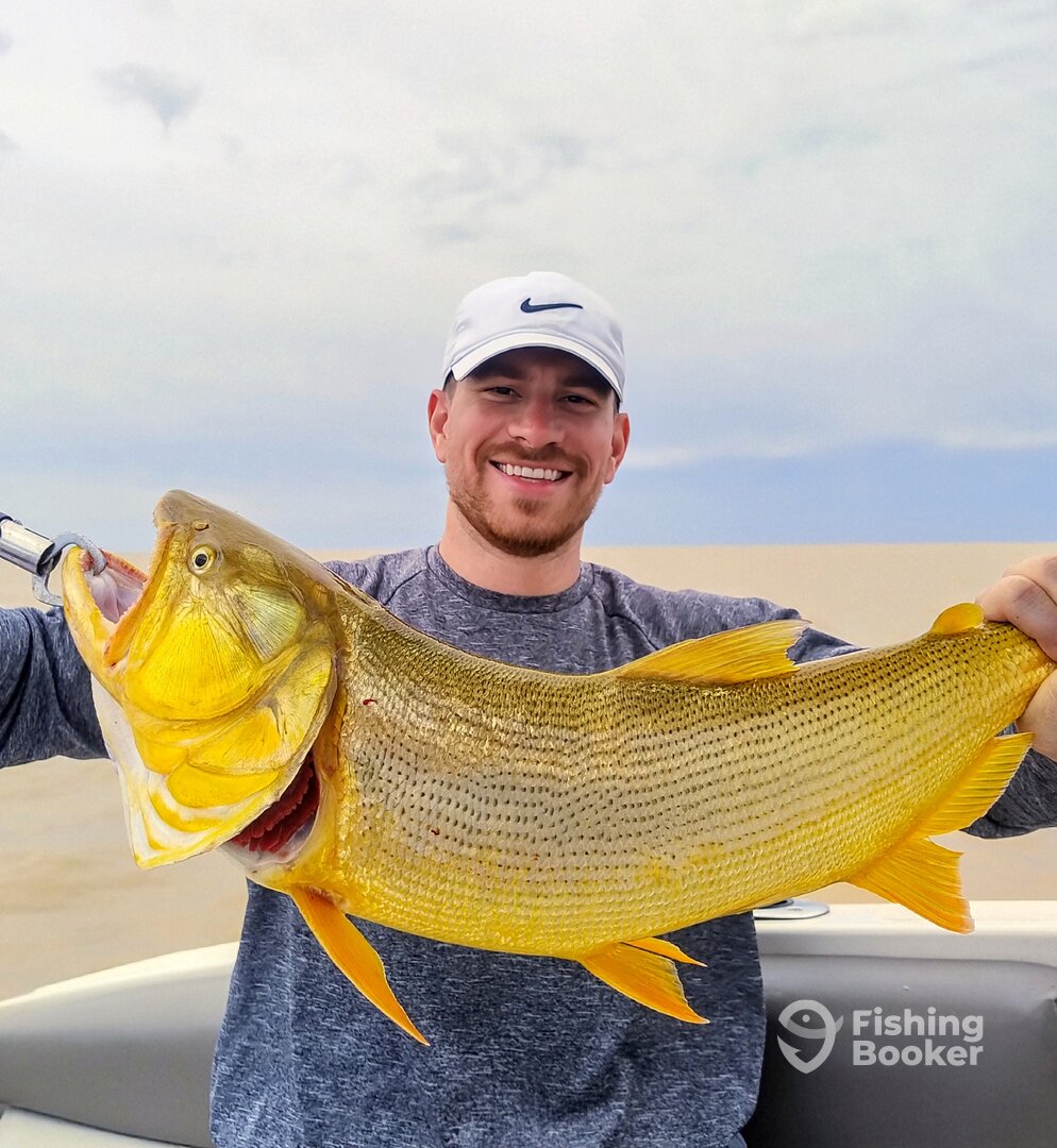 Tigre Report Photo 0