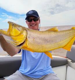 Tigre Report Photo 1