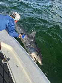 Marathon Report Photo 2