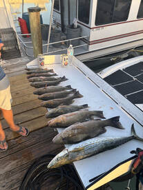 Capt Bryan on the Tiger Sharks 