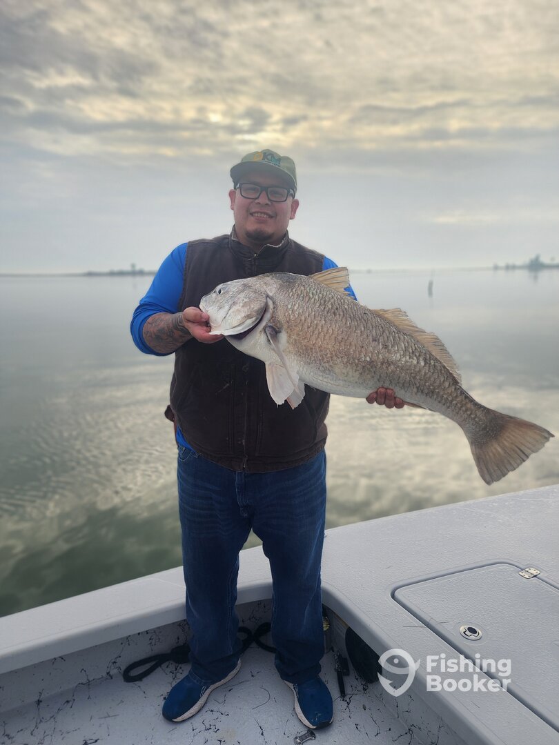 Corpus Christi Report Photo 0