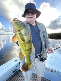 Toa Alta Report Photo 1