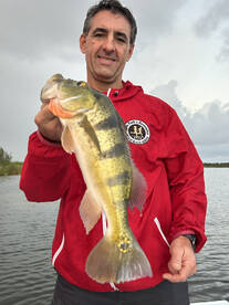 Toa Alta Report Photo 2