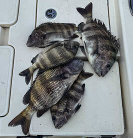 Fort Morgan Report Photo 1