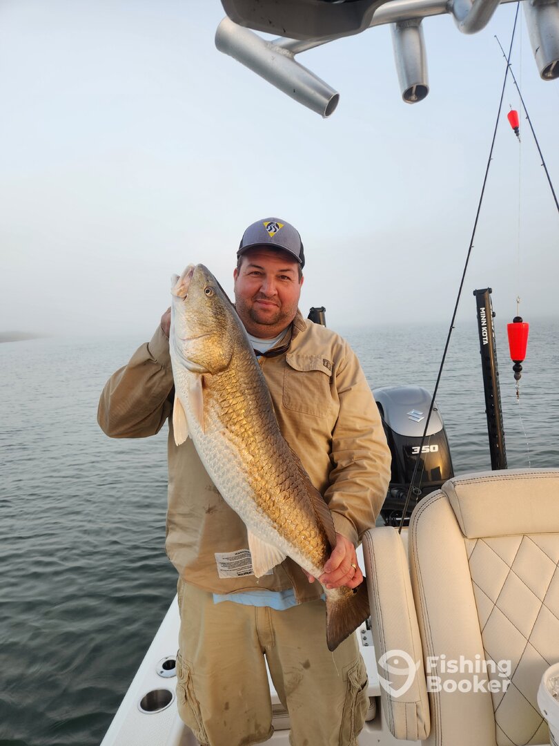 St. Bernard Report Photo 0