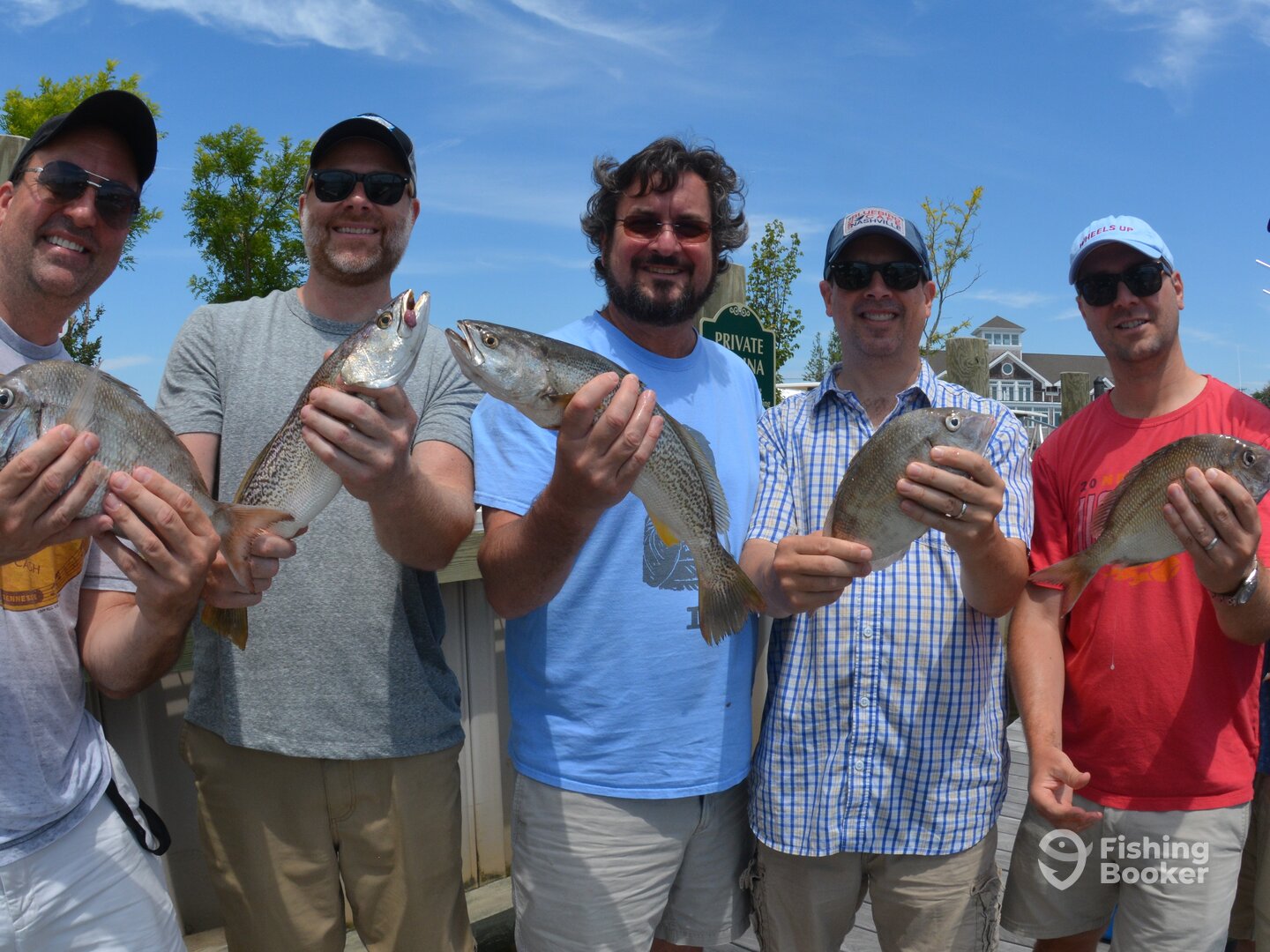 Southold Report Photo 0