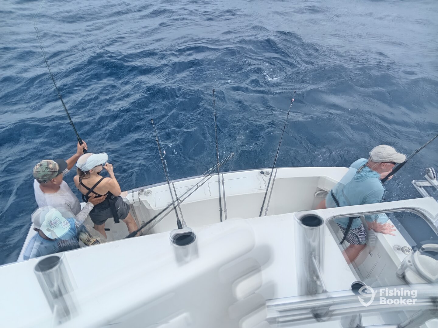 Quepos Report Photo 0