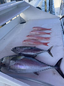 Pompano Beach Report Photo 2