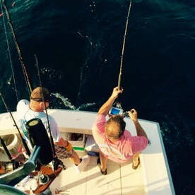 Yellowfin Tuna 